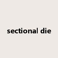 sectional die是什么意思