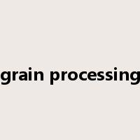 grain processing是什么意思