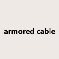 armored cable是什么意思