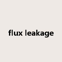 flux leakage是什么意思