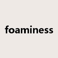 foaminess是什么意思