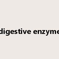digestive enzyme是什么意思