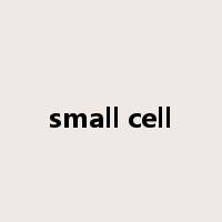 small cell是什么意思