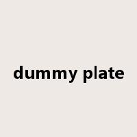 dummy plate是什么意思