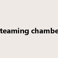 steaming chamber是什么意思