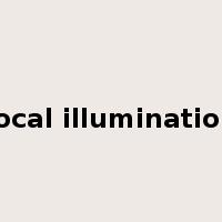 local illumination是什么意思
