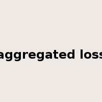 aggregated loss是什么意思