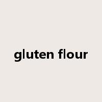 gluten flour是什么意思