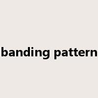 banding pattern是什么意思
