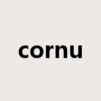cornu是什么意思