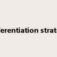 differentiation strategy是什么意思