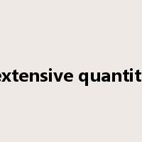 extensive quantity是什么意思
