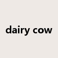 dairy cow是什么意思