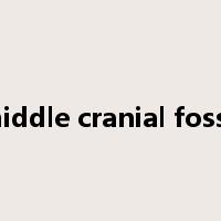 middle cranial fossa是什么意思