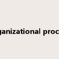 organizational process是什么意思