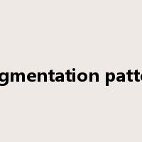 fragmentation pattern是什么意思