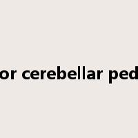 inferior cerebellar peduncle是什么意思
