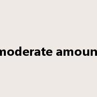moderate amount是什么意思