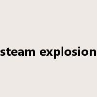 steam explosion是什么意思
