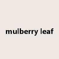 mulberry leaf是什么意思
