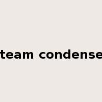 steam condenser是什么意思
