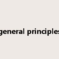 general principles是什么意思