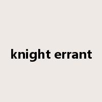 knight errant是什么意思