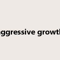aggressive growth是什么意思