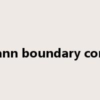 Neumann boundary condition是什么意思