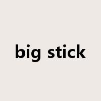 big stick是什么意思