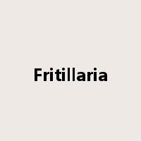 Fritillaria是什么意思