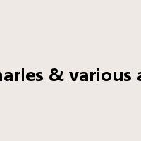 ray charles & various artists是什么意思