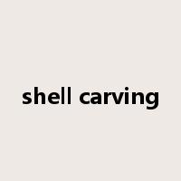 shell carving是什么意思