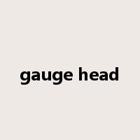 gauge head是什么意思