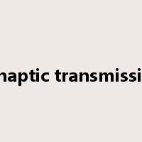 synaptic transmission是什么意思