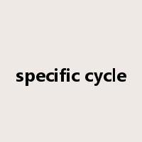 specific cycle是什么意思