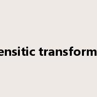 martensitic transformation是什么意思