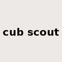 cub scout是什么意思