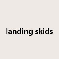 landing skids是什么意思