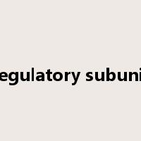 regulatory subunit是什么意思