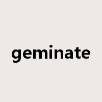 geminate是什么意思