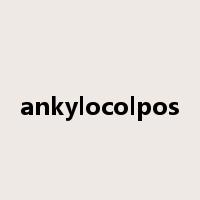 ankylocolpos是什么意思