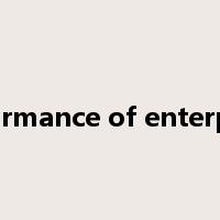 performance of enterprises是什么意思