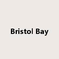 Bristol Bay是什么意思