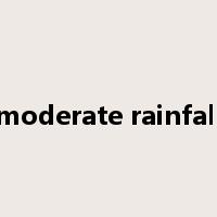 moderate rainfall是什么意思