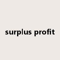 surplus profit是什么意思