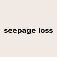seepage loss是什么意思