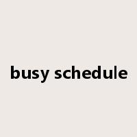 busy schedule是什么意思