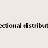 directional distribution是什么意思