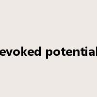 evoked potential是什么意思